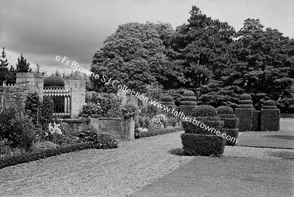 HERBACEOUS BORDER & STEPS